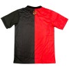 Camiseta de fútbol Sport Recife Aniversario 2024-25 - Hombre